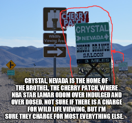I'd like the Wild life Viewing please... | CRYSTAL, NEVADA IS THE HOME OF THE BROTHEL, THE CHERRY PATCH, WHERE NBA STAR LAMAR ODOM OVER INDULGED AND OVER DOSED. NOT SURE IF THERE IS A CHARGE FOR WILD LIFE VIEWING, BUT I'M SURE THEY CHARGE FOR MOST EVERYTHING ELSE. | image tagged in nevada | made w/ Imgflip meme maker