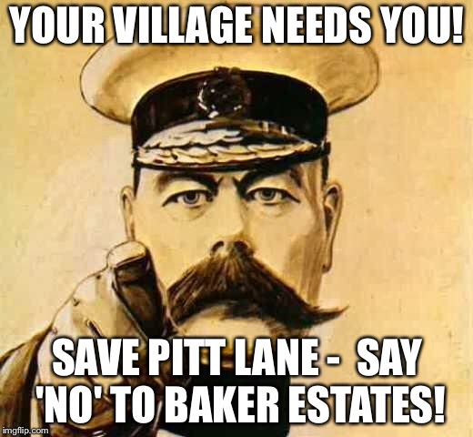 Your Country Needs YOU |  YOUR VILLAGE NEEDS YOU! SAVE PITT LANE - 
SAY 'NO' TO BAKER ESTATES! | image tagged in your country needs you | made w/ Imgflip meme maker