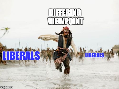 Jack Sparrow Being Chased Meme | DIFFERING VIEWPOINT; LIBERALS; LIBERALS | image tagged in memes,jack sparrow being chased | made w/ Imgflip meme maker