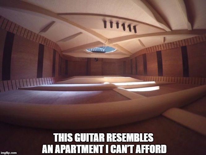 Spacious Interior | THIS GUITAR RESEMBLES AN APARTMENT I CAN’T AFFORD | image tagged in memes | made w/ Imgflip meme maker