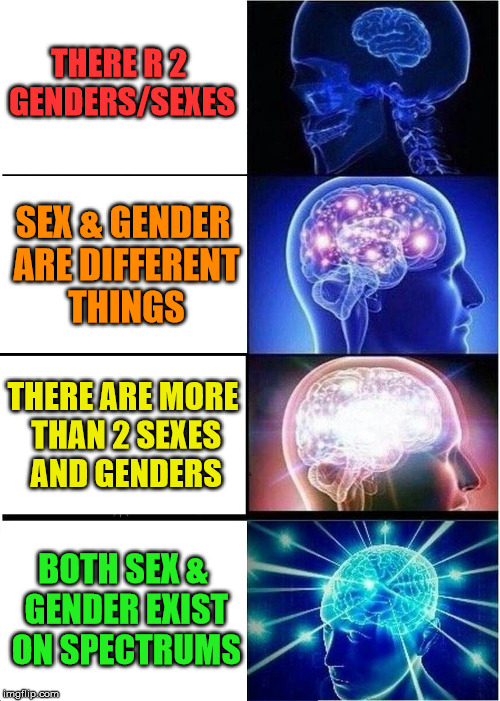 Expanding Brain Meme | THERE R 2 GENDERS/SEXES; SEX & GENDER ARE DIFFERENT THINGS; THERE ARE MORE THAN 2 SEXES AND GENDERS; BOTH SEX & GENDER EXIST ON SPECTRUMS | image tagged in memes,expanding brain,sex,gender | made w/ Imgflip meme maker