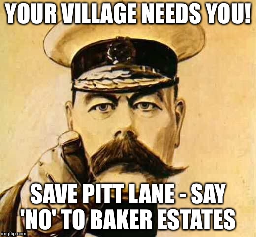 Your Country Needs YOU | YOUR VILLAGE NEEDS YOU! SAVE PITT LANE - SAY 'NO' TO BAKER ESTATES | image tagged in your country needs you | made w/ Imgflip meme maker