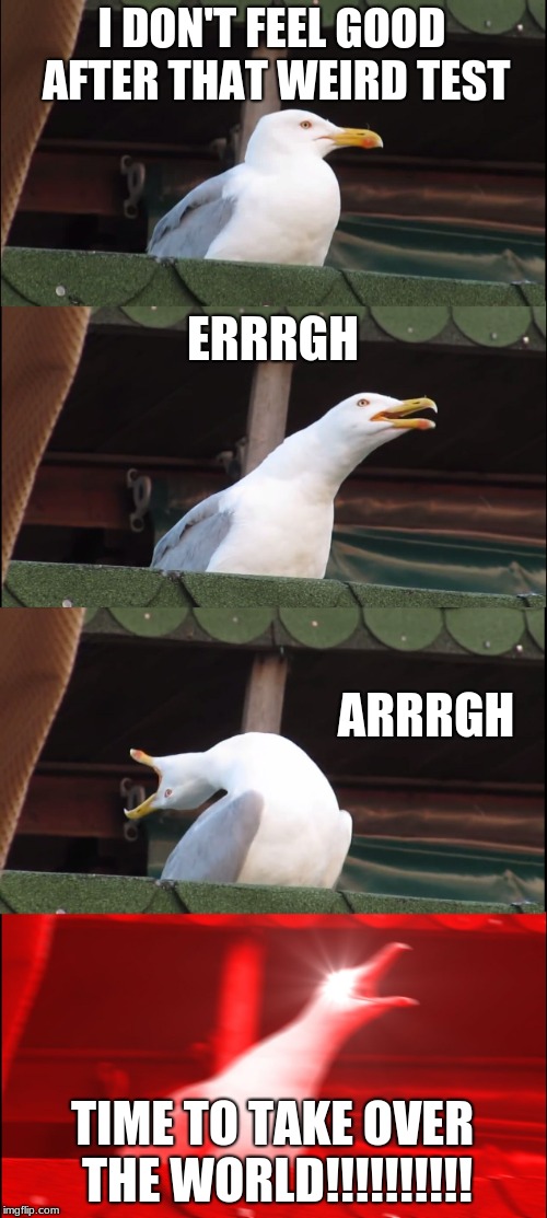 Inhaling Seagull | I DON'T FEEL GOOD AFTER THAT WEIRD TEST; ERRRGH; ARRRGH; TIME TO TAKE OVER THE WORLD!!!!!!!!!! | image tagged in memes,inhaling seagull | made w/ Imgflip meme maker
