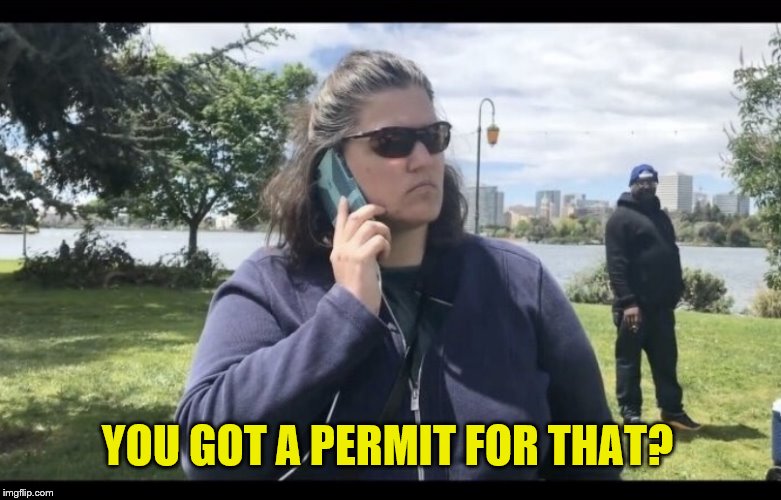 BBQ Becky | YOU GOT A PERMIT FOR THAT? | image tagged in bbq becky | made w/ Imgflip meme maker