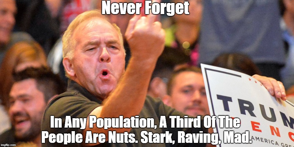 Never Forget In Any Population, A Third Of The People Are Nuts. Stark, Raving, Mad. | made w/ Imgflip meme maker