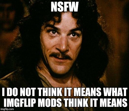 Inigo Montoya Meme | NSFW I DO NOT THINK IT MEANS WHAT IMGFLIP MODS THINK IT MEANS | image tagged in memes,inigo montoya | made w/ Imgflip meme maker