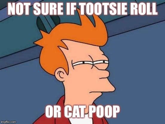 Futurama Fry Meme | NOT SURE IF TOOTSIE ROLL; OR CAT POOP | image tagged in memes,futurama fry | made w/ Imgflip meme maker