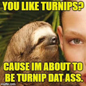 Whisper Sloth Meme | YOU LIKE TURNIPS? CAUSE IM ABOUT TO BE TURNIP DAT ASS. | image tagged in memes,whisper sloth | made w/ Imgflip meme maker