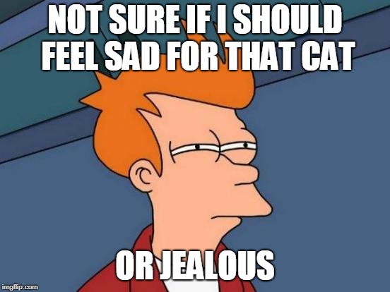 Futurama Fry Meme | NOT SURE IF I SHOULD FEEL SAD FOR THAT CAT OR JEALOUS | image tagged in memes,futurama fry | made w/ Imgflip meme maker