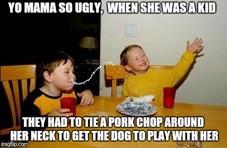 Yo Mamas So Fat Meme | YO MAMA SO UGLY,  WHEN SHE WAS A KID THEY HAD TO TIE A PORK CHOP AROUND HER NECK TO GET THE DOG TO PLAY WITH HER | image tagged in memes,yo mamas so fat | made w/ Imgflip meme maker