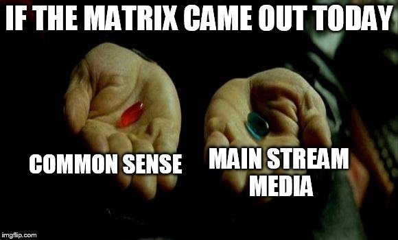 Matrix Pills | IF THE MATRIX CAME OUT TODAY; COMMON SENSE; MAIN STREAM MEDIA | image tagged in matrix pills | made w/ Imgflip meme maker