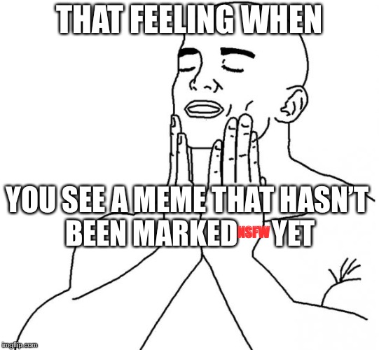 That feeling when | THAT FEELING WHEN YOU SEE A MEME THAT HASN’T BEEN MARKED      YET NSFW | image tagged in that feeling when | made w/ Imgflip meme maker