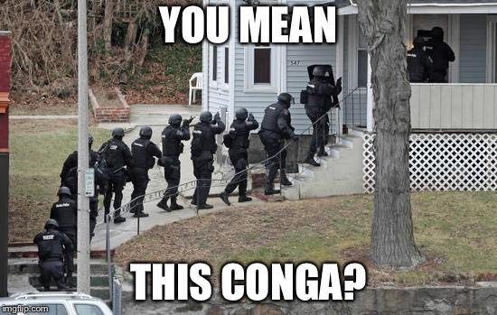 swat conga line | YOU MEAN THIS CONGA? | image tagged in swat conga line | made w/ Imgflip meme maker
