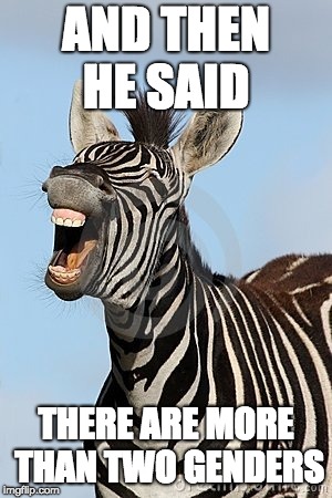 Laughing Zebra | AND THEN HE SAID; THERE ARE MORE THAN TWO GENDERS | image tagged in laughing zebra | made w/ Imgflip meme maker