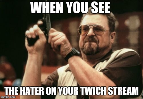 Am I The Only One Around Here Meme | WHEN YOU SEE; THE HATER ON YOUR TWICH STREAM | image tagged in memes,am i the only one around here | made w/ Imgflip meme maker