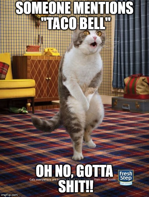 Gotta Go Cat Meme | SOMEONE MENTIONS "TACO BELL"; OH NO, GOTTA SHIT!! | image tagged in memes,gotta go cat | made w/ Imgflip meme maker
