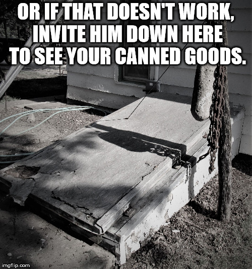 storm shelter | OR IF THAT DOESN'T WORK, INVITE HIM DOWN HERE TO SEE YOUR CANNED GOODS. | image tagged in storm shelter | made w/ Imgflip meme maker