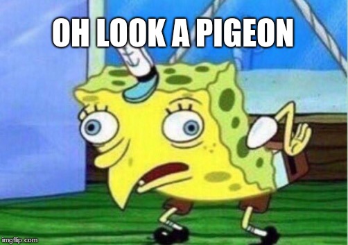 Mocking Spongebob Meme | OH LOOK A PIGEON | image tagged in memes,mocking spongebob | made w/ Imgflip meme maker
