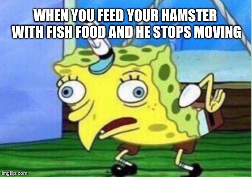 Mocking Spongebob Meme | WHEN YOU FEED YOUR HAMSTER WITH FISH FOOD AND HE STOPS MOVING | image tagged in memes,mocking spongebob | made w/ Imgflip meme maker