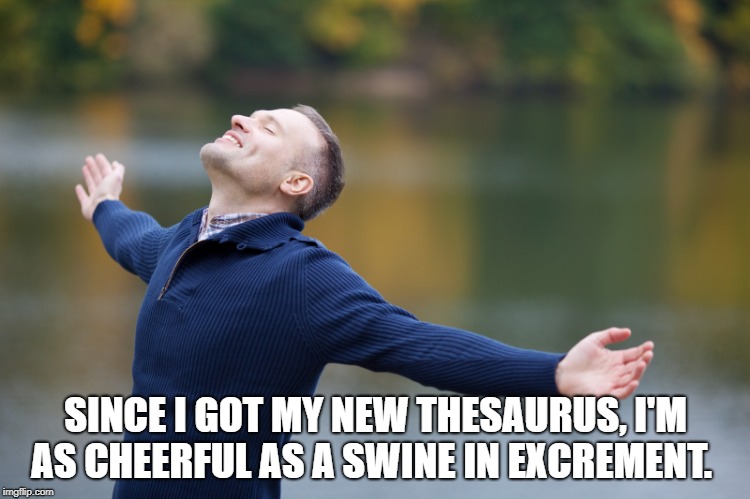 SINCE I GOT MY NEW THESAURUS, I'M AS CHEERFUL AS A SWINE IN EXCREMENT. | image tagged in happy | made w/ Imgflip meme maker