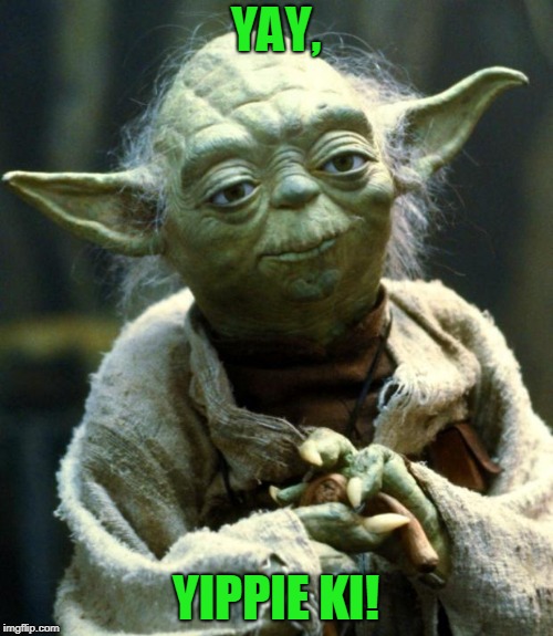 Star Wars Yoda Meme | YAY, YIPPIE KI! | image tagged in memes,star wars yoda | made w/ Imgflip meme maker