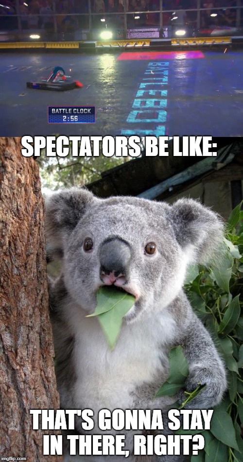 SPECTATORS BE LIKE:; THAT'S GONNA STAY IN THERE, RIGHT? | made w/ Imgflip meme maker