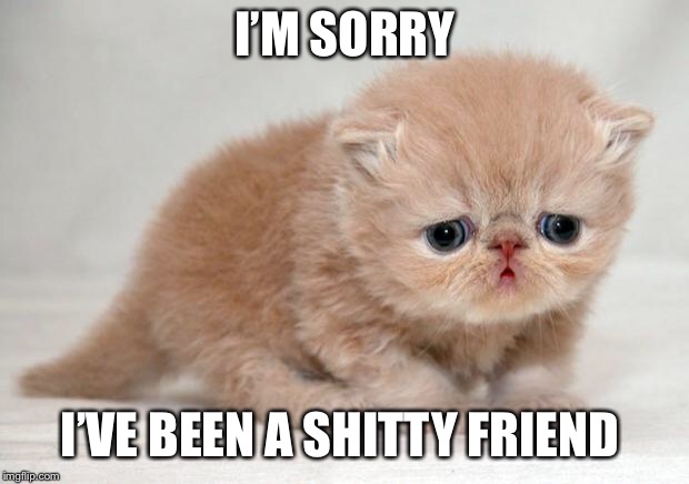 sad kitten | I’M SORRY; I’VE BEEN A SHITTY FRIEND | image tagged in sad kitten | made w/ Imgflip meme maker