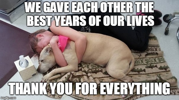 WE GAVE EACH OTHER THE BEST YEARS OF OUR LIVES THANK YOU FOR EVERYTHING | made w/ Imgflip meme maker