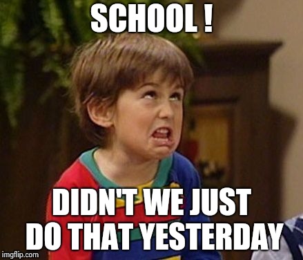 SCHOOL ! DIDN'T WE JUST DO THAT YESTERDAY | image tagged in wtf kid | made w/ Imgflip meme maker