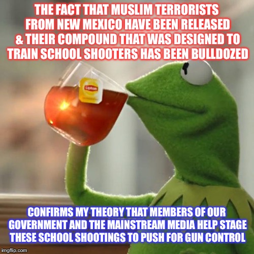 But That's None Of My Business Meme | THE FACT THAT MUSLIM TERRORISTS FROM NEW MEXICO HAVE BEEN RELEASED & THEIR COMPOUND THAT WAS DESIGNED TO TRAIN SCHOOL SHOOTERS HAS BEEN BULLDOZED; CONFIRMS MY THEORY THAT MEMBERS OF OUR GOVERNMENT AND THE MAINSTREAM MEDIA HELP STAGE THESE SCHOOL SHOOTINGS TO PUSH FOR GUN CONTROL | image tagged in memes,but thats none of my business,kermit the frog,maga | made w/ Imgflip meme maker
