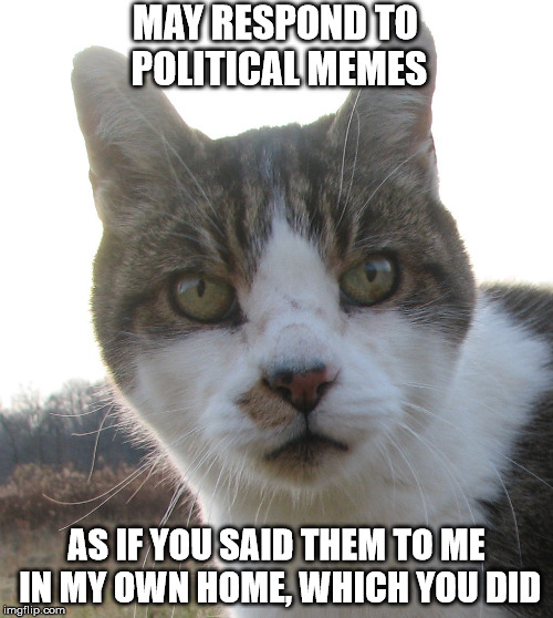 Irritated with Political Memes | MAY RESPOND TO POLITICAL MEMES; AS IF YOU SAID THEM TO ME IN MY OWN HOME, WHICH YOU DID | image tagged in political | made w/ Imgflip meme maker