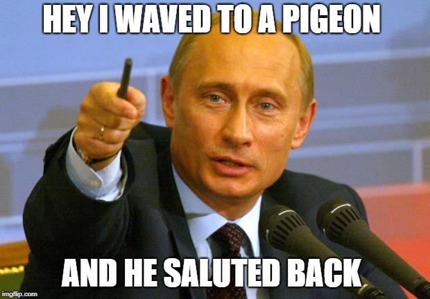 Good Guy Putin Meme | HEY I WAVED TO A PIGEON; AND HE SALUTED BACK | image tagged in memes,good guy putin | made w/ Imgflip meme maker