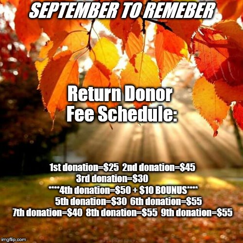 Fall leaves  | SEPTEMBER TO REMEBER; Return Donor Fee Schedule:; 1st donation=$25  2nd donation=$45         3rd donation=$30                        ****4th donation=$50 + $10 BOUNUS****            5th donation=$30  6th donation=$55   7th donation=$40  8th donation=$55  9th donation=$55 | image tagged in fall leaves | made w/ Imgflip meme maker