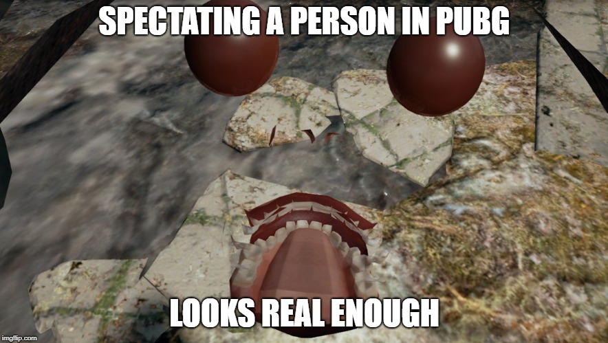 SPECTATING A PERSON IN PUBG; LOOKS REAL ENOUGH | image tagged in pubg | made w/ Imgflip meme maker