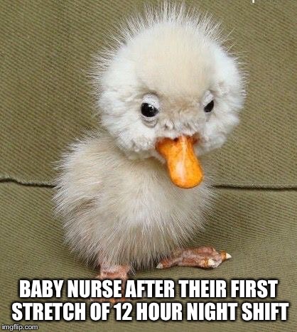What happened? | BABY NURSE AFTER THEIR FIRST STRETCH OF 12 HOUR NIGHT SHIFT | image tagged in nurse | made w/ Imgflip meme maker