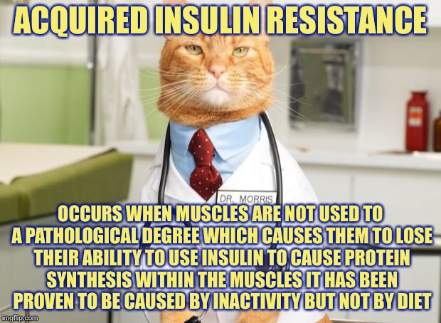 Cat Doctor | ACQUIRED INSULIN RESISTANCE OCCURS WHEN MUSCLES ARE NOT USED TO A PATHOLOGICAL DEGREE WHICH CAUSES THEM TO LOSE THEIR ABILITY TO USE INSULIN | image tagged in cat doctor | made w/ Imgflip meme maker