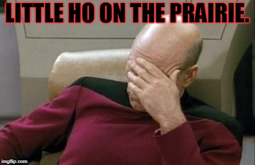 Captain Picard Facepalm Meme | LITTLE HO ON THE PRAIRIE. | image tagged in memes,captain picard facepalm | made w/ Imgflip meme maker