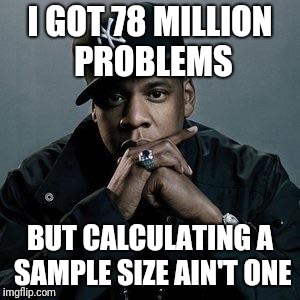 jay z | I GOT 78 MILLION PROBLEMS; BUT CALCULATING A SAMPLE SIZE AIN'T ONE | image tagged in jay z | made w/ Imgflip meme maker