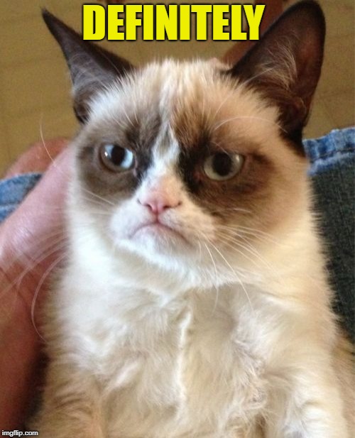 Grumpy Cat Meme | DEFINITELY | image tagged in memes,grumpy cat | made w/ Imgflip meme maker