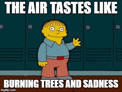 ralph wiggum | THE AIR TASTES LIKE; BURNING TREES AND SADNESS | image tagged in ralph wiggum | made w/ Imgflip meme maker