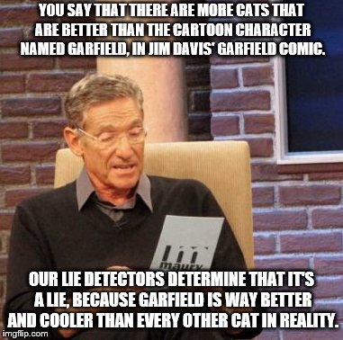 Maury Lie Detector | YOU SAY THAT THERE ARE MORE CATS THAT ARE BETTER THAN THE CARTOON CHARACTER NAMED GARFIELD, IN JIM DAVIS' GARFIELD COMIC. OUR LIE DETECTORS DETERMINE THAT IT'S A LIE, BECAUSE GARFIELD IS WAY BETTER AND COOLER THAN EVERY OTHER CAT IN REALITY. | image tagged in memes,maury lie detector | made w/ Imgflip meme maker