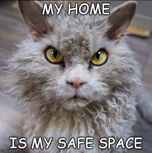 Pompous Albert | MY HOME IS MY SAFE SPACE | image tagged in pompous albert | made w/ Imgflip meme maker