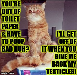 I'LL GET OFF OF IT WHEN YOU GIVE ME BACK MY TESTICLES! YOU'RE OUT OF TOILET PAPER & HAVE TO POOP BAD HUH? | image tagged in no crapping | made w/ Imgflip meme maker