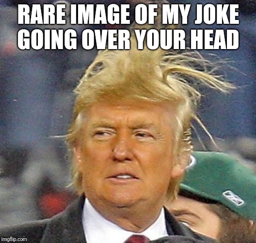 Woooooosh | RARE IMAGE OF MY JOKE GOING OVER YOUR HEAD | image tagged in memes | made w/ Imgflip meme maker