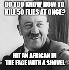 Bad Joke Hitler | DO YOU KNOW HOW TO KILL 50 FLIES AT ONCE? HIT AN AFRICAN IN THE FACE WITH A SHOVEL | image tagged in bad joke hitler | made w/ Imgflip meme maker