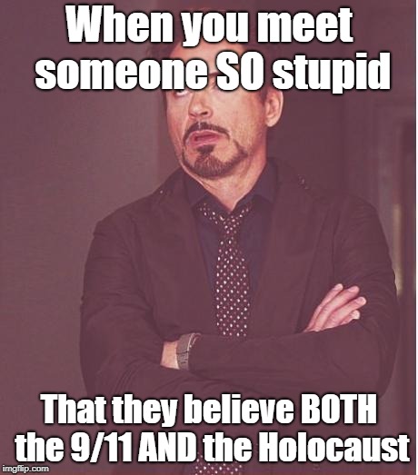 Face You Make Robert Downey Jr | When you meet someone SO stupid; That they believe BOTH the 9/11 AND the Holocaust | image tagged in memes,face you make robert downey jr,stupid people,holocaust,911,sheeple | made w/ Imgflip meme maker