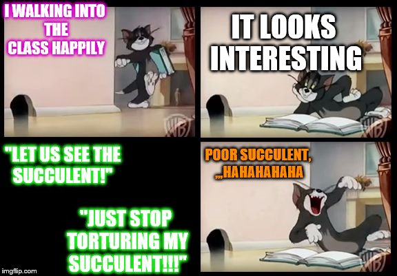 tom and jerry book | I WALKING
INTO THE CLASS HAPPILY; IT LOOKS INTERESTING; POOR SUCCULENT, ,,,HAHAHAHAHA; "LET US SEE THE SUCCULENT!"; "JUST STOP TORTURING MY SUCCULENT!!!" | image tagged in tom and jerry book | made w/ Imgflip meme maker