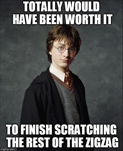 Harry Potter | TOTALLY WOULD HAVE BEEN WORTH IT TO FINISH SCRATCHING THE REST OF THE ZIGZAG | image tagged in harry potter | made w/ Imgflip meme maker