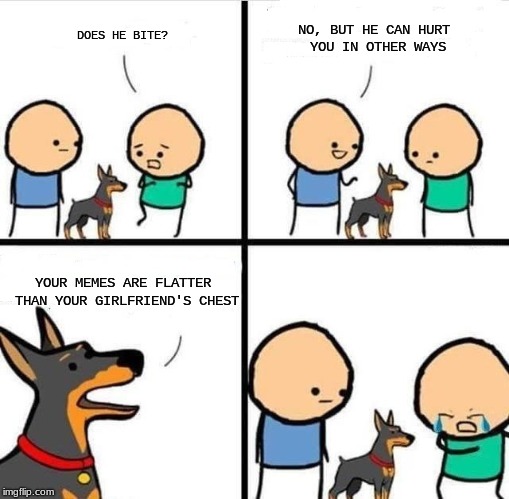 OH, DOUBLE BURN! | NO, BUT HE CAN HURT YOU IN OTHER WAYS; DOES HE BITE? YOUR MEMES ARE FLATTER THAN YOUR GIRLFRIEND'S CHEST | image tagged in cyanide happiness dog does it bite | made w/ Imgflip meme maker
