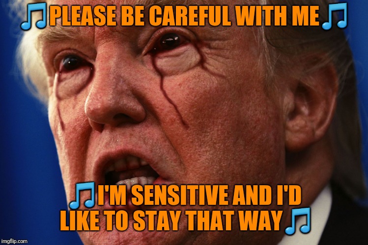 Lame Drumpf | 🎵PLEASE BE CAREFUL WITH ME🎵; 🎵I'M SENSITIVE AND I'D LIKE TO STAY THAT WAY🎵 | image tagged in lame drumpf,snowflake,jewel | made w/ Imgflip meme maker